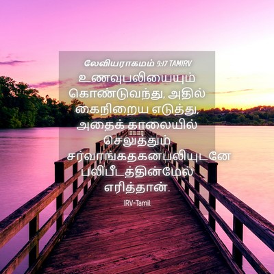 Picture 04 - லேவியராகமம் 9:17 TAMIRV - உணவுபலியையும் - Bible Verse Picture