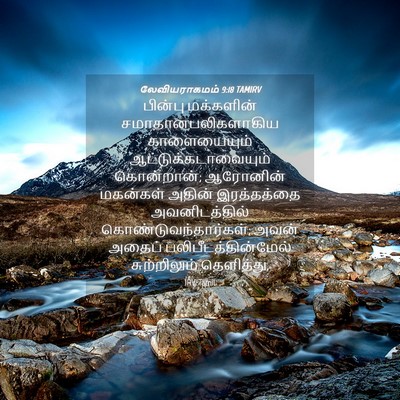 Picture 04 - லேவியராகமம் 9:18 TAMIRV - பின்பு மக்களின் - Bible Verse Picture