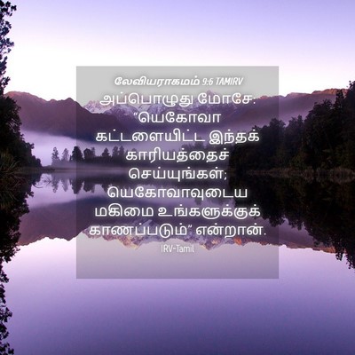 Picture 04 - லேவியராகமம் 9:6 TAMIRV - அப்பொழுது மோசே: - Bible Verse Picture