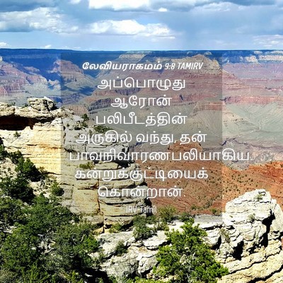Picture 04 - லேவியராகமம் 9:8 TAMIRV - அப்பொழுது ஆரோன் - Bible Verse Picture