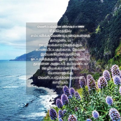 Picture 04 - வெளிப்படுத்தின விசேஷம் 1:1 TAMIRV - சீக்கிரத்தில் - Bible Verse Picture
