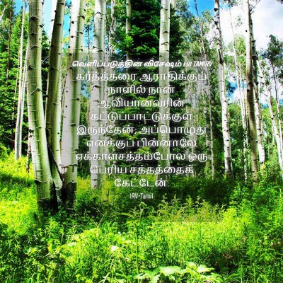 Picture 04 - வெளிப்படுத்தின விசேஷம் 1:10 TAMIRV - கர்த்த்தரை - Bible Verse Picture