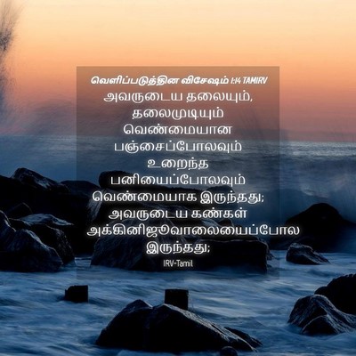 Picture 04 - வெளிப்படுத்தின விசேஷம் 1:14 TAMIRV - அவருடைய தலையும், - Bible Verse Picture