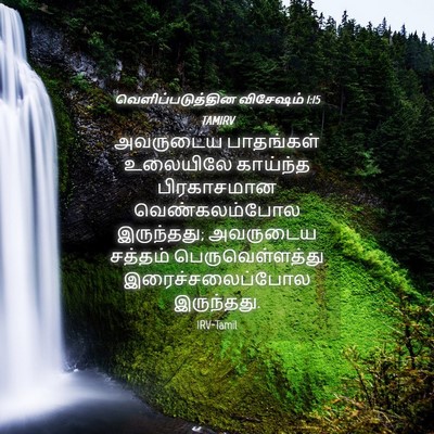 Picture 04 - வெளிப்படுத்தின விசேஷம் 1:15 TAMIRV - அவருடைய பாதங்கள் - Bible Verse Picture