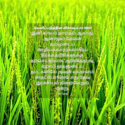 Picture 04 - வெளிப்படுத்தின விசேஷம் 10:6 TAMIRV - இனி காலம் தாமதம் - Bible Verse Picture