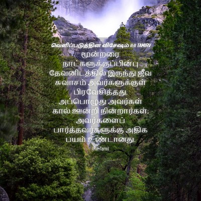 Picture 04 - வெளிப்படுத்தின விசேஷம் 11:11 TAMIRV - மூன்றரை - Bible Verse Picture