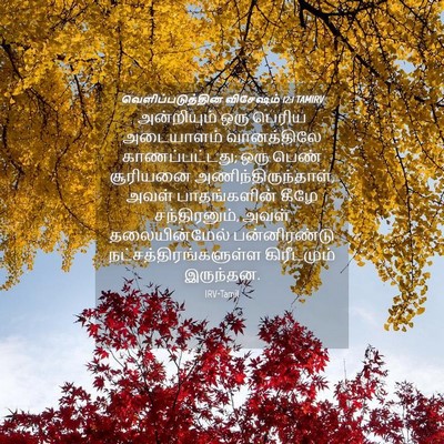 Picture 04 - வெளிப்படுத்தின விசேஷம் 12:1 TAMIRV - அன்றியும் ஒரு - Bible Verse Picture