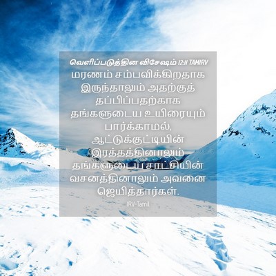 Picture 04 - வெளிப்படுத்தின விசேஷம் 12:11 TAMIRV - மரணம் - Bible Verse Picture