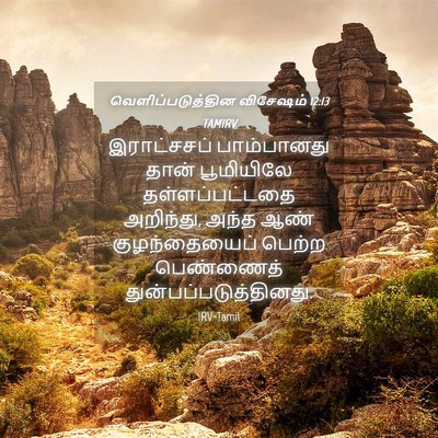 Picture 04 - வெளிப்படுத்தின விசேஷம் 12:13 TAMIRV - இராட்சசப் - Bible Verse Picture