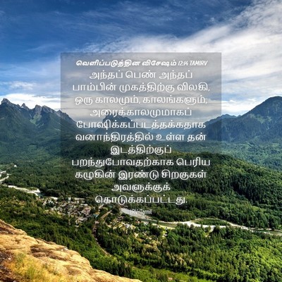 Picture 04 - வெளிப்படுத்தின விசேஷம் 12:14 TAMIRV - அந்தப் பெண் - Bible Verse Picture