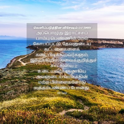 Picture 04 - வெளிப்படுத்தின விசேஷம் 12:17 TAMIRV - அப்பொழுது - Bible Verse Picture