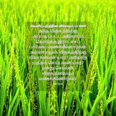 Picture 04 - வெளிப்படுத்தின விசேஷம் 13:4 TAMIRV - அந்த - Bible Verse Picture
