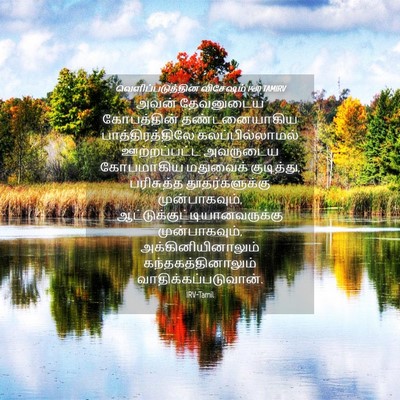 Picture 04 - வெளிப்படுத்தின விசேஷம் 14:10 TAMIRV - அவன் தேவனுடைய - Bible Verse Picture