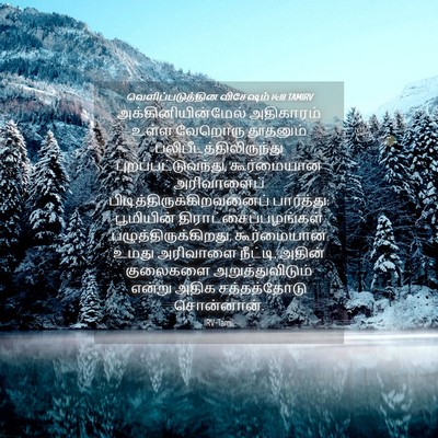 Picture 04 - வெளிப்படுத்தின விசேஷம் 14:18 TAMIRV - அக்கினியின்மேல் - Bible Verse Picture