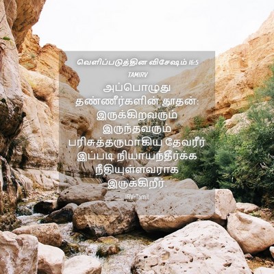 Picture 04 - வெளிப்படுத்தின விசேஷம் 16:5 TAMIRV - அப்பொழுது - Bible Verse Picture
