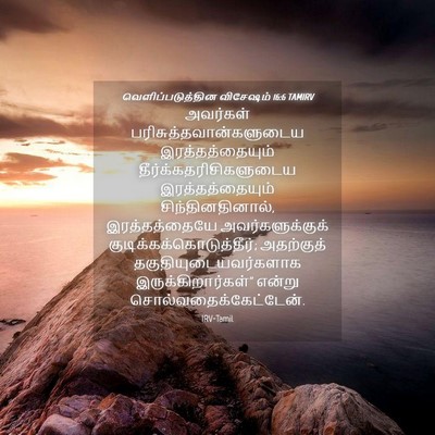 Picture 04 - வெளிப்படுத்தின விசேஷம் 16:6 TAMIRV - அவர்கள் - Bible Verse Picture