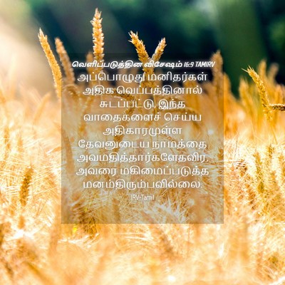 Picture 04 - வெளிப்படுத்தின விசேஷம் 16:9 TAMIRV - அப்பொழுது - Bible Verse Picture