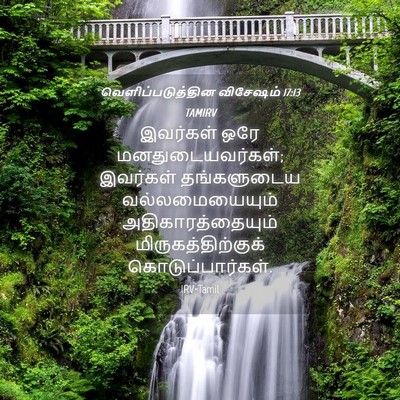 Picture 04 - வெளிப்படுத்தின விசேஷம் 17:13 TAMIRV - இவர்கள் ஒரே - Bible Verse Picture