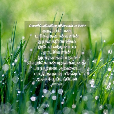 Picture 04 - வெளிப்படுத்தின விசேஷம் 17:6 TAMIRV - அந்தப் பெண் - Bible Verse Picture