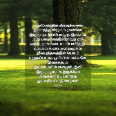 Picture 04 - வெளிப்படுத்தின விசேஷம் 17:8 TAMIRV - நீ பார்த்த - Bible Verse Picture