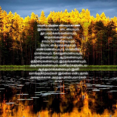 Picture 04 - வெளிப்படுத்தின விசேஷம் 18:13 TAMIRV -  - Bible Verse Picture