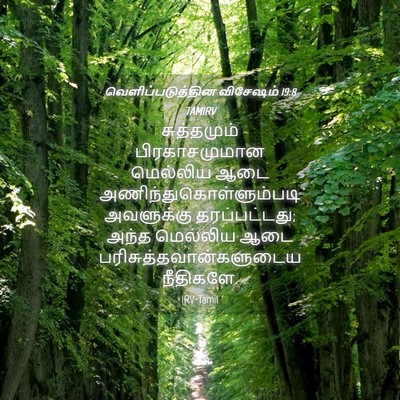 Picture 04 - வெளிப்படுத்தின விசேஷம் 19:8 TAMIRV - சுத்தமும் - Bible Verse Picture