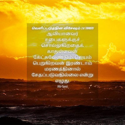 Picture 04 - வெளிப்படுத்தின விசேஷம் 2:11 TAMIRV - ஆவியானவர் - Bible Verse Picture
