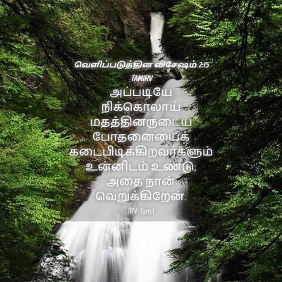 Picture 04 - வெளிப்படுத்தின விசேஷம் 2:15 TAMIRV - அப்படியே - Bible Verse Picture