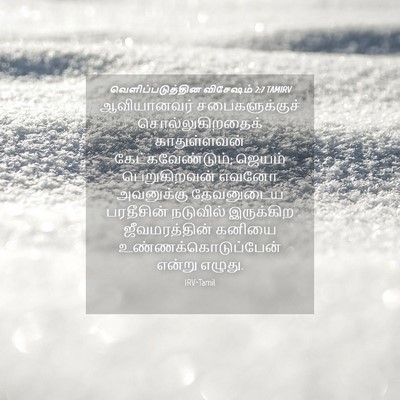 Picture 04 - வெளிப்படுத்தின விசேஷம் 2:7 TAMIRV - ஆவியானவர் - Bible Verse Picture