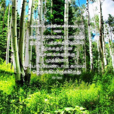 Picture 04 - வெளிப்படுத்தின விசேஷம் 22:10 TAMIRV - அவர் என்னைப் - Bible Verse Picture