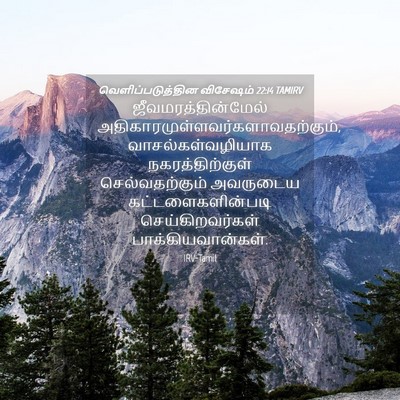 Picture 04 - வெளிப்படுத்தின விசேஷம் 22:14 TAMIRV - ஜீவமரத்தின்மேல் - Bible Verse Picture