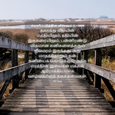 Picture 04 - வெளிப்படுத்தின விசேஷம் 22:2 TAMIRV - நகரத்து வீதியின் - Bible Verse Picture