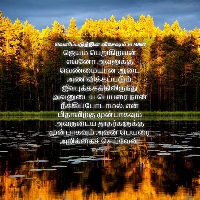 Picture 04 - வெளிப்படுத்தின விசேஷம் 3:5 TAMIRV - ஜெயம் பெறுகிறவன் - Bible Verse Picture