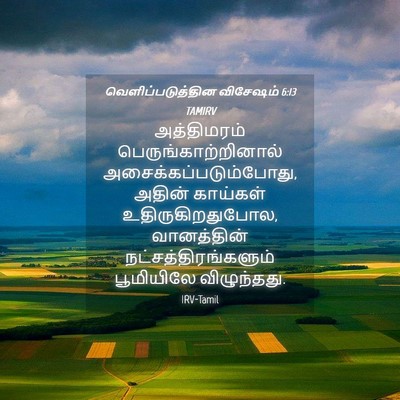 Picture 04 - வெளிப்படுத்தின விசேஷம் 6:13 TAMIRV - அத்திமரம் - Bible Verse Picture