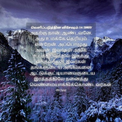 Picture 04 - வெளிப்படுத்தின விசேஷம் 7:14 TAMIRV - அதற்கு நான்: - Bible Verse Picture