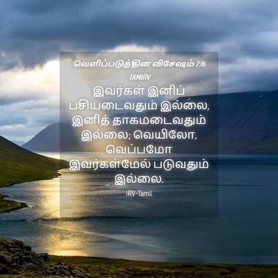 Picture 04 - வெளிப்படுத்தின விசேஷம் 7:16 TAMIRV - இவர்கள் இனிப் - Bible Verse Picture