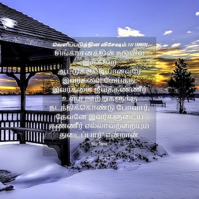 Picture 04 - வெளிப்படுத்தின விசேஷம் 7:17 TAMIRV - சிங்காசனத்தின் - Bible Verse Picture
