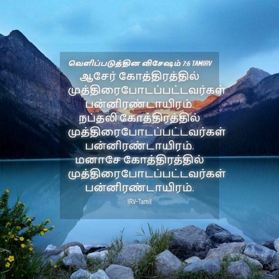 Picture 04 - வெளிப்படுத்தின விசேஷம் 7:6 TAMIRV - ஆசேர் - Bible Verse Picture