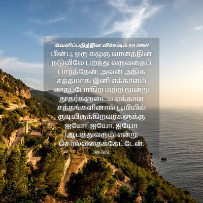 Picture 04 - வெளிப்படுத்தின விசேஷம் 8:13 TAMIRV - பின்பு, ஒரு கழுகு - Bible Verse Picture