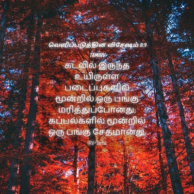 Picture 04 - வெளிப்படுத்தின விசேஷம் 8:9 TAMIRV - கடலில் இருந்த - Bible Verse Picture