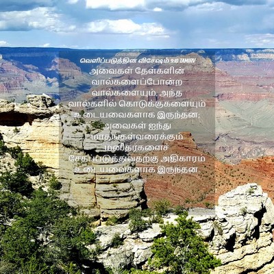 Picture 04 - வெளிப்படுத்தின விசேஷம் 9:10 TAMIRV - அவைகள் தேள்களின் - Bible Verse Picture