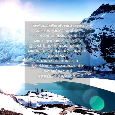 Picture 04 - வெளிப்படுத்தின விசேஷம் 9:19 TAMIRV - அந்தக் - Bible Verse Picture