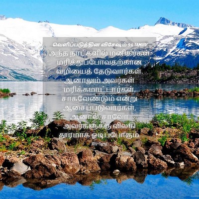 Picture 04 - வெளிப்படுத்தின விசேஷம் 9:6 TAMIRV - அந்த நாட்களில் - Bible Verse Picture