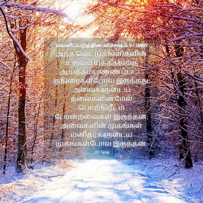 Picture 04 - வெளிப்படுத்தின விசேஷம் 9:7 TAMIRV - அந்த - Bible Verse Picture
