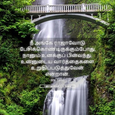 Picture 05 - 1 இராஜாக்கள் 1:14 TAMIRV - நீ அங்கே ராஜாவோடு - Bible Verse Picture
