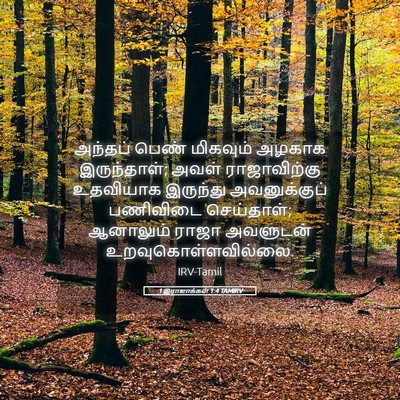 Picture 05 - 1 இராஜாக்கள் 1:4 TAMIRV - அந்தப் பெண் - Bible Verse Picture
