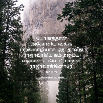 Picture 05 - 1 இராஜாக்கள் 1:43 TAMIRV - யோனத்தான் - Bible Verse Picture