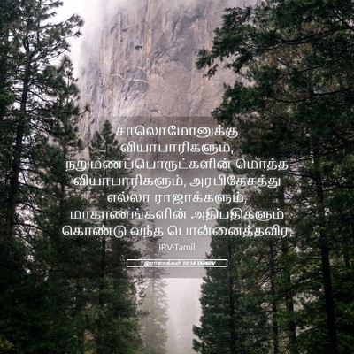 Picture 05 - 1 இராஜாக்கள் 10:14 TAMIRV - சாலொமோனுக்கு - Bible Verse Picture
