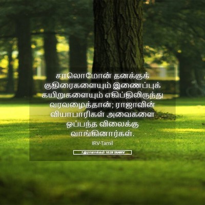 Picture 05 - 1 இராஜாக்கள் 10:28 TAMIRV - சாலொமோன் தனக்குக் - Bible Verse Picture