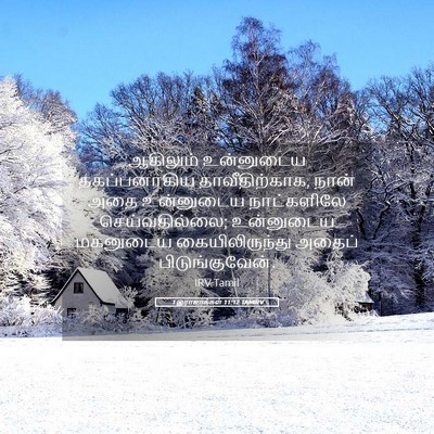 Picture 05 - 1 இராஜாக்கள் 11:12 TAMIRV - ஆகிலும் உன்னுடைய - Bible Verse Picture